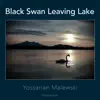 Yossarian Malewski - Black Swan Leaving Lake - Single